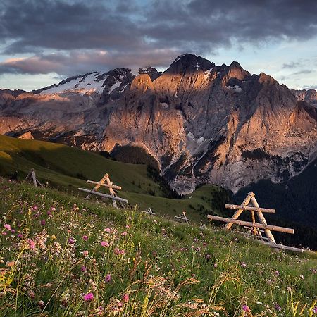 Отель Rifugio Sass Bece Канацеи Экстерьер фото